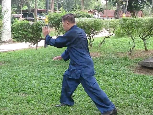 Wu Yu Xiang Style Taijiquan